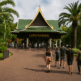 Loro Parque Tenerife – Discover the Heart of the Island’s Natural Wonder