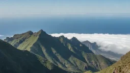 Anaga Rural Park, Tenerife: Laurel Forests, Viewpoints and the Best Driving Route (2026)
