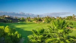 Golfing Paradise: Tee Time Bliss at Tenerife Finest Golf Clubs