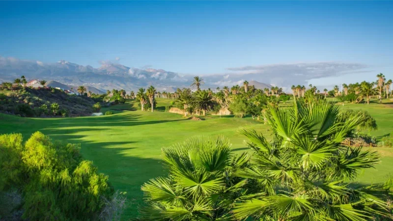 Golfing Paradise: Tee Time Bliss at Tenerife Finest Golf Clubs