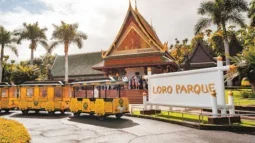 Loro Parque Tenerife – Discover the Heart of the Island’s Natural Wonder