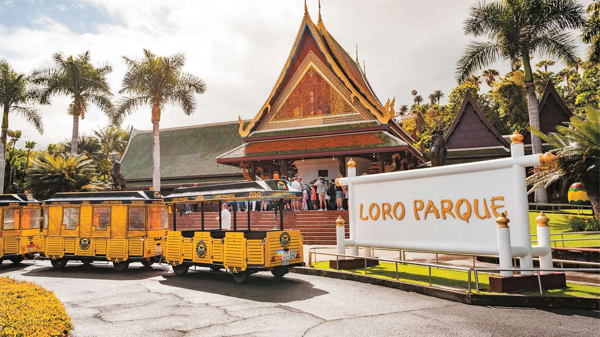 Loro Parque Tenerife – Discover the Heart of the Island’s Natural Wonder