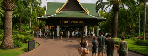Loro Parque Tenerife – Discover the Heart of the Island’s Natural Wonder