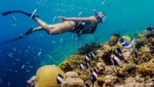 Swimming with the Current: A Deep Dive into Tenerife Snorkeling Spots