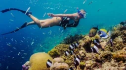 Swimming with the Current: A Deep Dive into Tenerife Snorkeling Spots