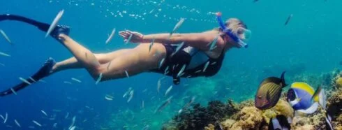 Swimming with the Current: A Deep Dive into Tenerife Snorkeling Spots