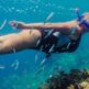 Swimming with the Current: A Deep Dive into Tenerife Snorkeling Spots