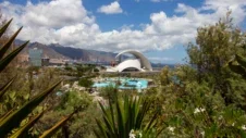 Tenerife Botanical Gardens: Where Tropical Beauty Flourishes in Abundance
