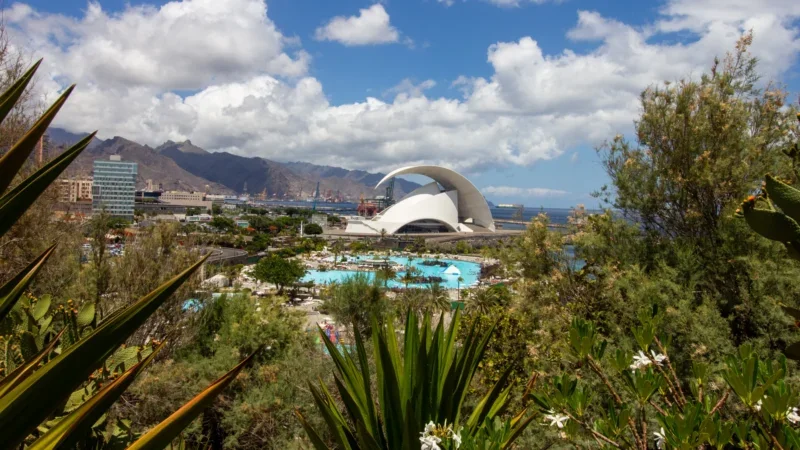 Tenerife Botanical Gardens: Where Tropical Beauty Flourishes in Abundance